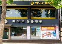 피카소동물병원