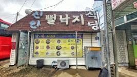 신안뻘낙지