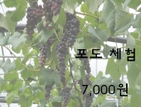 진농장