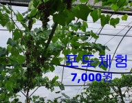 진농장