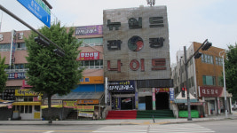 뉴월드관광나이트