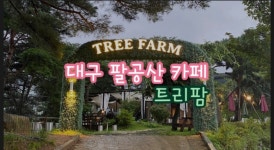 트리팜