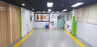 용현정도합기도