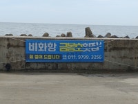 비화항민박 금봉호횟집