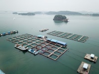 여정수산 가두리낚시터