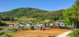 달고운청정 사교마을
