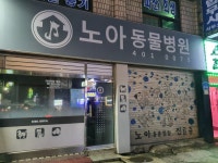 노아동물병원
