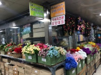 주하나아트 청계5가지하쇼핑센터점