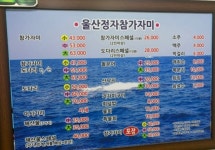 울산정자참가자미