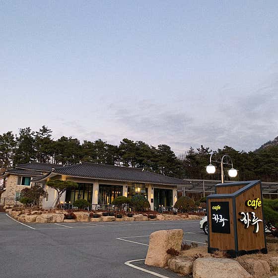 하루 사진