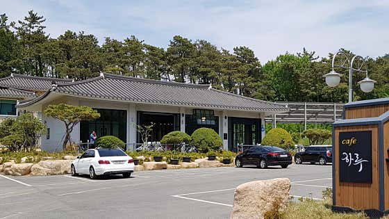하루 사진