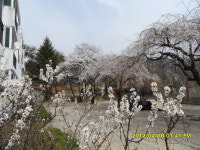 소양강수목원팬션