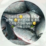 산야초건강원