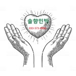 솔향민박