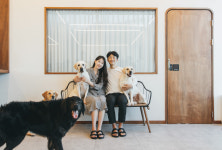 어테일 애견카페 애견호텔 애견유치원 위탁목욕