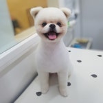 핑크펫미용실