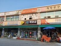 LED백화점