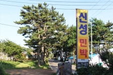 신성민박