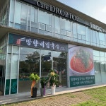 망향비빔국수 광주서구점