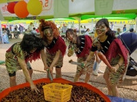 알밤수토리영농조합법인