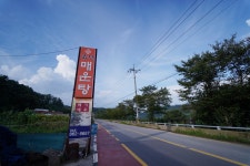 금성매운탕