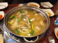 양지편닭한마리