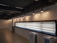 내리사랑 태권도장