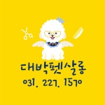 대박펫살롱