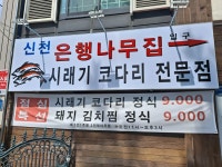 신천은행나무집