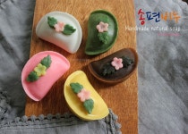 보니솝