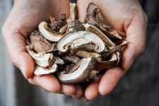 휴앤숲 영농조합법인