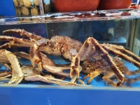 친구수산