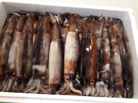 100번수산