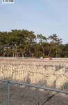보성물산