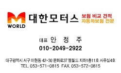 대한모터스
