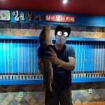 입큰붕어실내낚시카페
