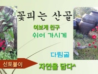 다림골 보원당