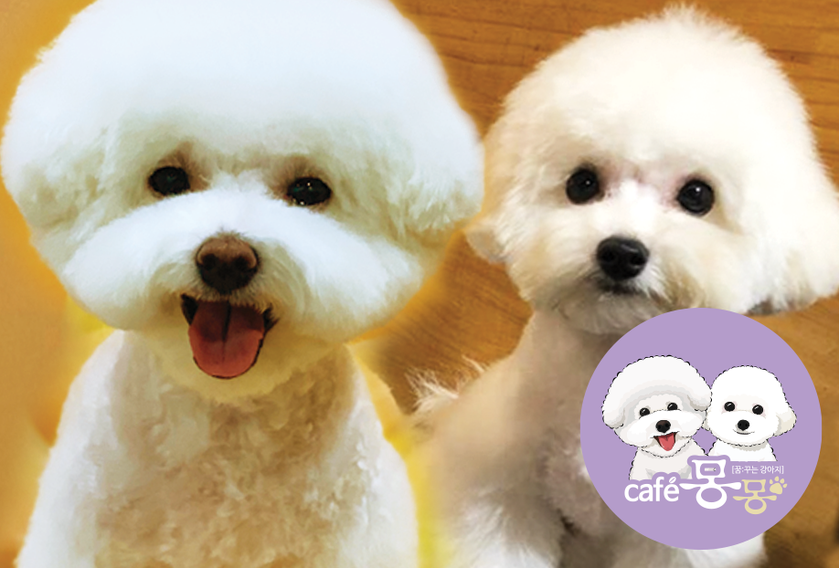 카페몽몽 이미지