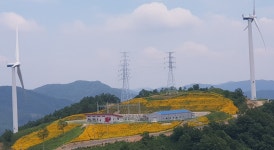 영암태양광발전