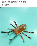 그림조아미술교습소