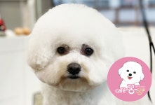 카페몽몽