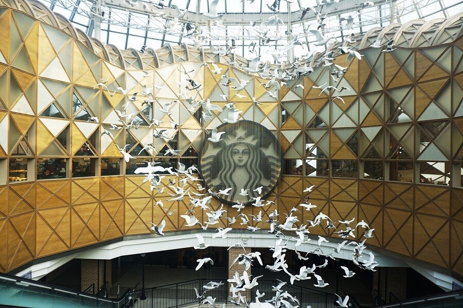 스타벅스 파미에파크R점 이미지 2