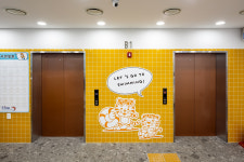 국가대표어린이수영클럽 목동점