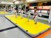 평내한국태권도