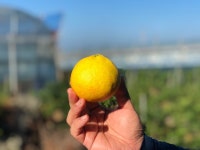 한농원