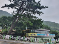 금정산장