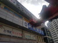 대한스카이