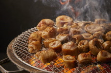 불막열삼 사천사주리점