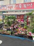 서울꽃방