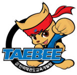 대원태비태권도